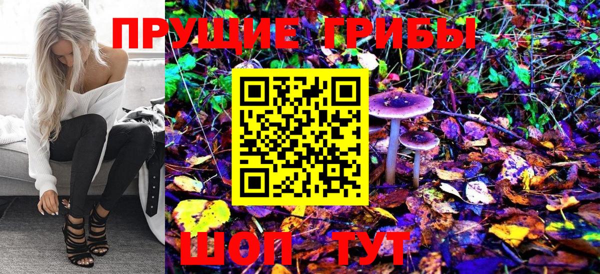 Псилоцибиновые грибы Psilocybe  Вход с VPN  Коркино 
